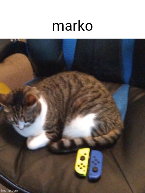 marko | made w/ Imgflip meme maker