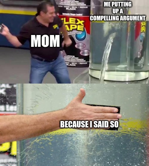 Flex Tape | ME PUTTING UP A COMPELLING ARGUMENT; MOM; BECAUSE I SAID SO | image tagged in flex tape | made w/ Imgflip meme maker