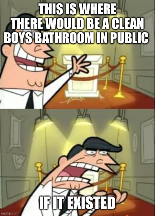 This Is Where I'd Put My Trophy If I Had One Meme | THIS IS WHERE THERE WOULD BE A CLEAN BOYS BATHROOM IN PUBLIC; IF IT EXISTED | image tagged in memes,this is where i'd put my trophy if i had one | made w/ Imgflip meme maker