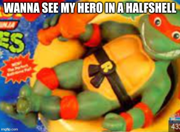 turtle power | made w/ Imgflip meme maker