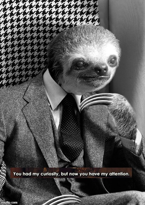 Sloth you had my curiosity but now you have my attention | image tagged in sloth you had my curiosity but now you have my attention | made w/ Imgflip meme maker