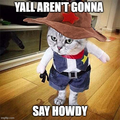 YALL AREN'T GONNA; SAY HOWDY | image tagged in cats | made w/ Imgflip meme maker