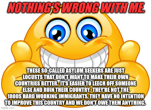 NOTHING'S WRONG WITH ME. THESE SO-CALLED ASYLUM SEEKERS ARE JUST LOCUSTS THAT DON'T WANT TO MAKE THEIR OWN COUNTRIES BETTER.  IT'S EASIER TO | made w/ Imgflip meme maker