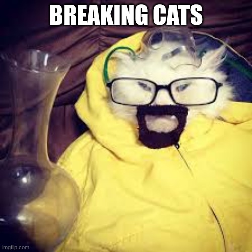 Breaking Cats | BREAKING CATS | image tagged in breaking bad | made w/ Imgflip meme maker