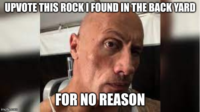 rock | UPVOTE THIS ROCK I FOUND IN THE BACK YARD; FOR NO REASON | image tagged in rock | made w/ Imgflip meme maker