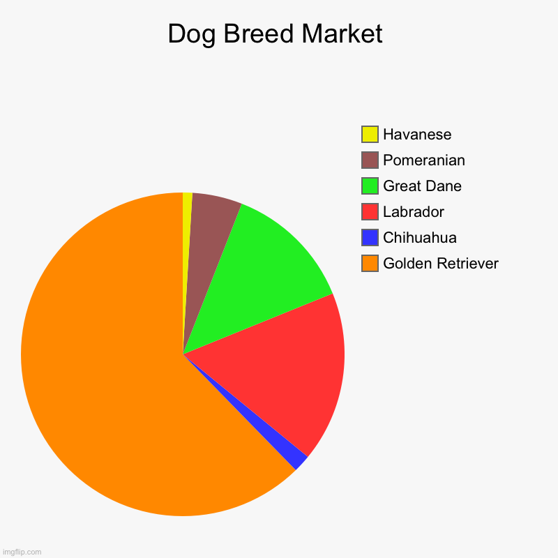 Dog People Are Picky | Dog Breed Market | Golden Retriever , Chihuahua, Labrador, Great Dane, Pomeranian, Havanese | image tagged in charts,pie charts | made w/ Imgflip chart maker
