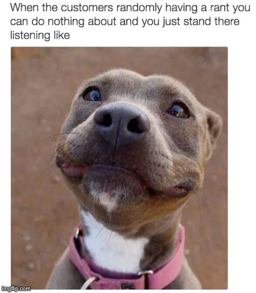 image tagged in repost,memes,funny,dogs,rant,dog | made w/ Imgflip meme maker