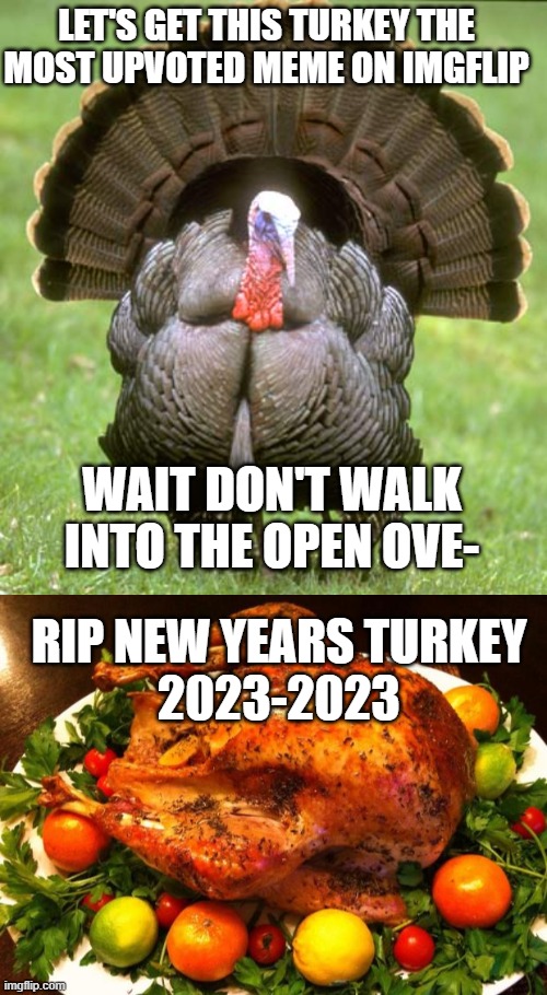 not billy bob | LET'S GET THIS TURKEY THE MOST UPVOTED MEME ON IMGFLIP; WAIT DON'T WALK INTO THE OPEN OVE-; RIP NEW YEARS TURKEY
2023-2023 | image tagged in memes,turkey,roasted turkey | made w/ Imgflip meme maker