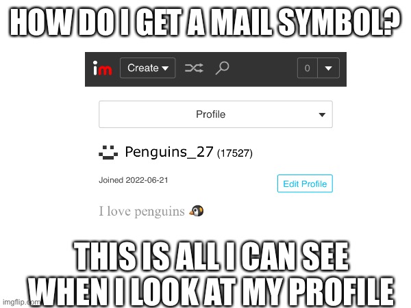 Do I need more points or something? | HOW DO I GET A MAIL SYMBOL? THIS IS ALL I CAN SEE WHEN I LOOK AT MY PROFILE | image tagged in question,questions,i am once again asking | made w/ Imgflip meme maker