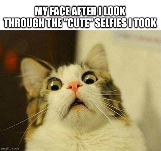 Scared Cat Meme | MY FACE AFTER I LOOK THROUGH THE "CUTE" SELFIES I TOOK | image tagged in memes,scared cat | made w/ Imgflip meme maker