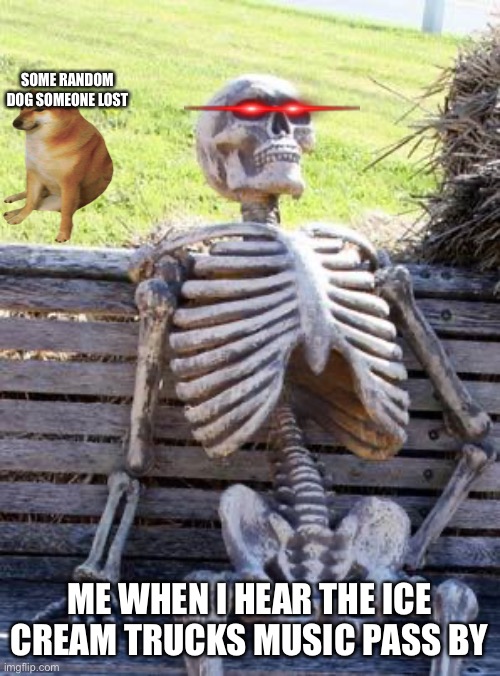 Waiting Skeleton Meme | SOME RANDOM DOG SOMEONE LOST; ME WHEN I HEAR THE ICE CREAM TRUCKS MUSIC PASS BY | image tagged in memes,waiting skeleton | made w/ Imgflip meme maker