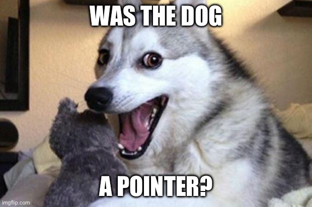 Bad Pun Dog | WAS THE DOG; A POINTER? | image tagged in bad pun dog | made w/ Imgflip meme maker