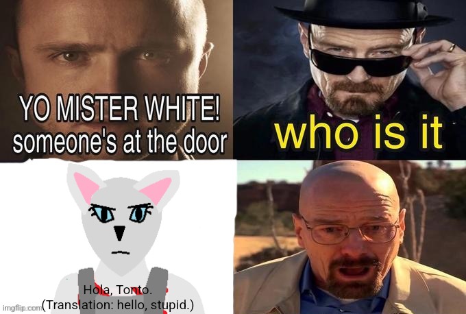 Yo Mr. White | Hola, Tonto.
(Translation: hello, stupid.) | image tagged in yo mr white,candystripe | made w/ Imgflip meme maker