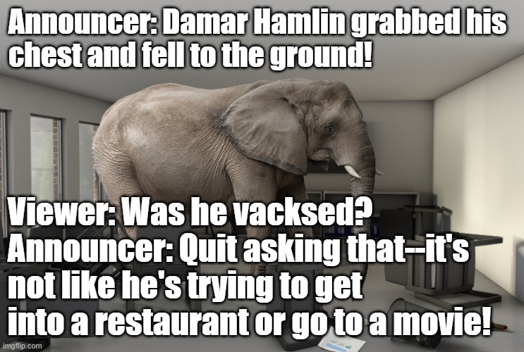 Elephant in the room | Announcer: Damar Hamlin grabbed his 
chest and fell to the ground! Viewer: Was he vacksed?
Announcer: Quit asking that--it's not like he's trying to get into a restaurant or go to a movie! | image tagged in elephant in the room | made w/ Imgflip meme maker