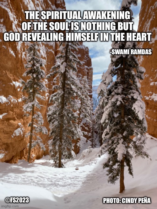 The spiritual awakening of the soul | THE SPIRITUAL AWAKENING OF THE SOUL IS NOTHING BUT GOD REVEALING HIMSELF IN THE HEART; -SWAMI RAMDAS; PHOTO: CINDY PEÑA; ©FS2023 | image tagged in spirit,soul,nature,heart,god,winter | made w/ Imgflip meme maker