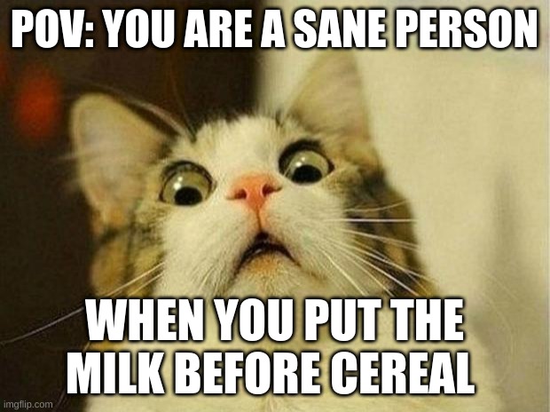 Argumentive | POV: YOU ARE A SANE PERSON; WHEN YOU PUT THE MILK BEFORE CEREAL | image tagged in memes,scared cat | made w/ Imgflip meme maker