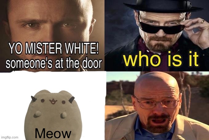 Yo Mr. White | Meow | image tagged in yo mr white | made w/ Imgflip meme maker