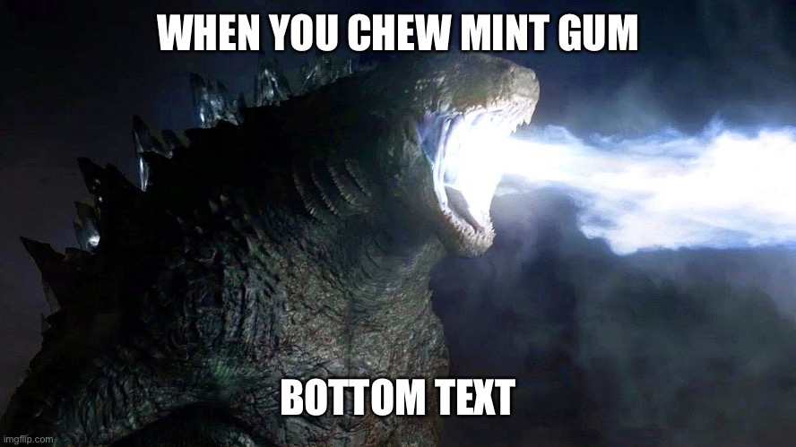 When you chew mint gum | WHEN YOU CHEW MINT GUM; BOTTOM TEXT | image tagged in godzilla,5 gum | made w/ Imgflip meme maker
