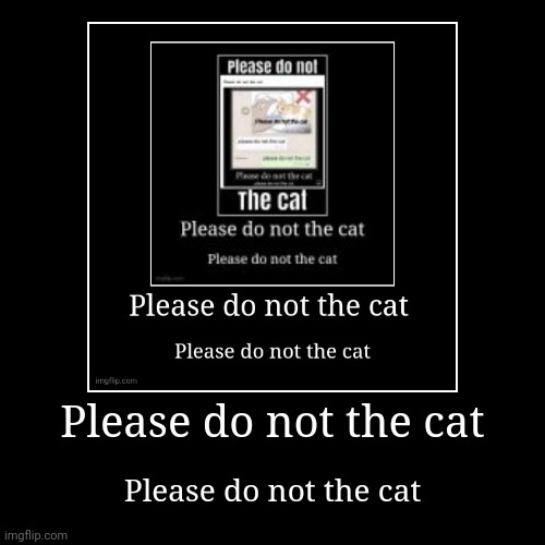 Please do not the cat day 3 | image tagged in funny,demotivationals | made w/ Imgflip demotivational maker