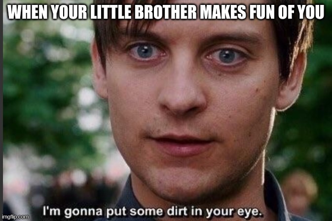 I'm gonna put some dirt in your eye | WHEN YOUR LITTLE BROTHER MAKES FUN OF YOU | image tagged in i'm gonna put some dirt in your eye | made w/ Imgflip meme maker