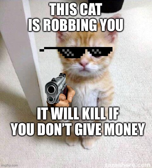 Cute cat | THIS CAT IS ROBBING YOU; IT WILL KILL IF YOU DON’T GIVE MONEY | image tagged in memes,cute cat | made w/ Imgflip meme maker