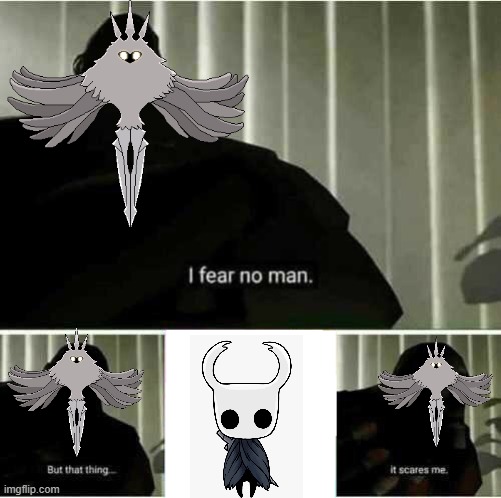 Hollow Knight | image tagged in i fear no man | made w/ Imgflip meme maker