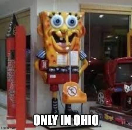 ONLY IN OHIO | image tagged in sponge bob thing | made w/ Imgflip meme maker