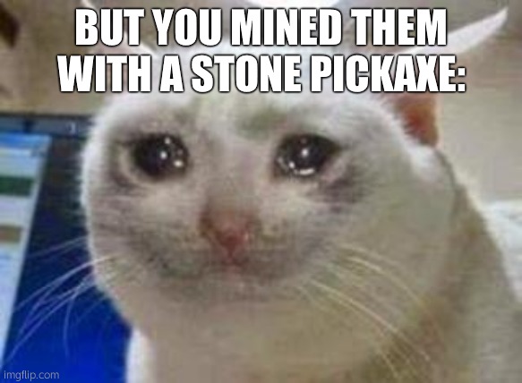 Sad cat | BUT YOU MINED THEM WITH A STONE PICKAXE: | image tagged in sad cat | made w/ Imgflip meme maker