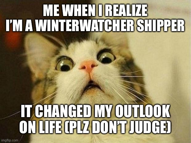Scared Cat Meme | ME WHEN I REALIZE I’M A WINTERWATCHER SHIPPER; IT CHANGED MY OUTLOOK ON LIFE (PLZ DON’T JUDGE) | image tagged in memes,scared cat,wings of fire,sandwich | made w/ Imgflip meme maker