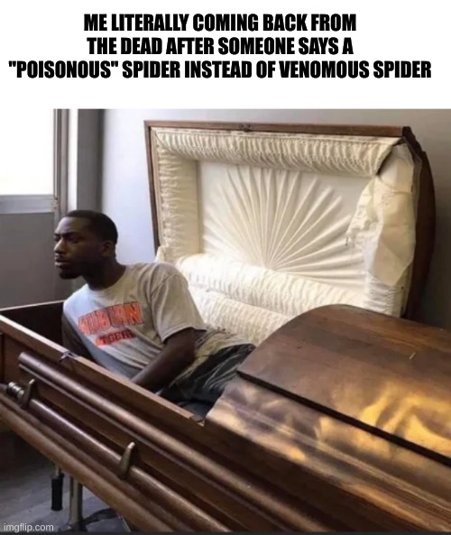 its venomous people! | ME LITERALLY COMING BACK FROM THE DEAD AFTER SOMEONE SAYS A "POISONOUS" SPIDER INSTEAD OF VENOMOUS SPIDER | image tagged in coffin,spider,venomous not poisonous | made w/ Imgflip meme maker