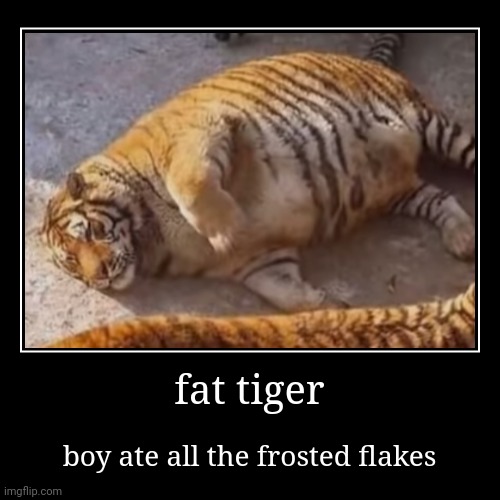 fat tiger (thought I needed to share) | image tagged in funny,demotivationals,memes,tiger,frosted flakes | made w/ Imgflip demotivational maker