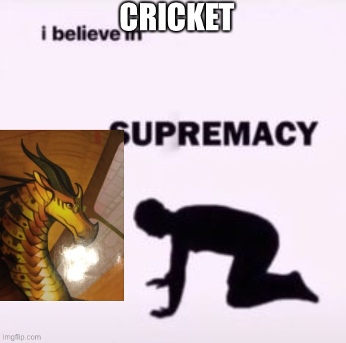 I believe in supremacy | CRICKET | image tagged in i believe in supremacy,wings of fire,sandwich | made w/ Imgflip meme maker