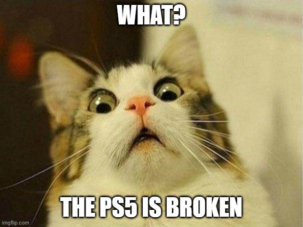 WHAT? THE PS5 IS BROKEN | WHAT? THE PS5 IS BROKEN | image tagged in memes,scared cat,ps5 | made w/ Imgflip meme maker
