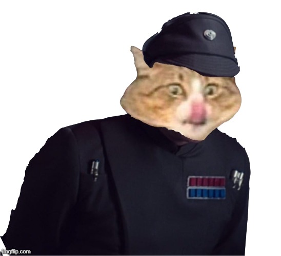 "Hope is an insufficient replacement for a shield generator you confounded rebel scum!" -Admiral Cat, 2023 | image tagged in imperial cat | made w/ Imgflip meme maker