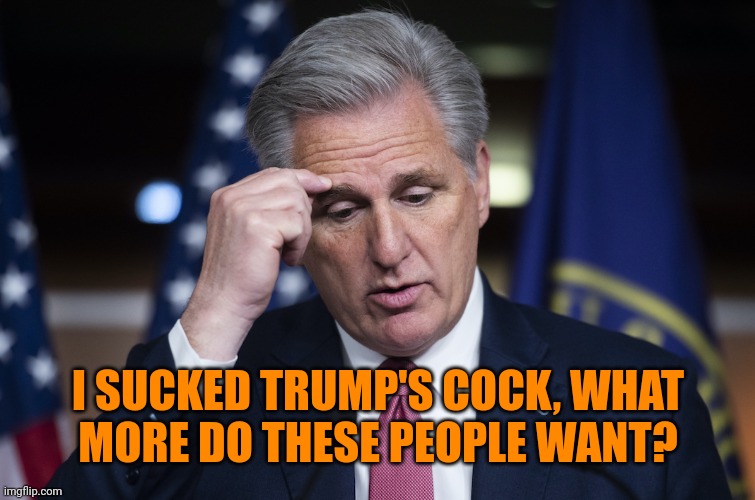Kevin McCarthy, jellyfish, thinking up a lie | I SUCKED TRUMP'S COCK, WHAT
MORE DO THESE PEOPLE WANT? | image tagged in kevin mccarthy jellyfish thinking up a lie | made w/ Imgflip meme maker