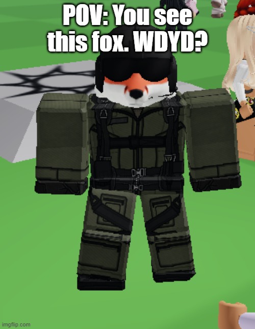 Ace | POV: You see this fox. WDYD? | image tagged in ace | made w/ Imgflip meme maker