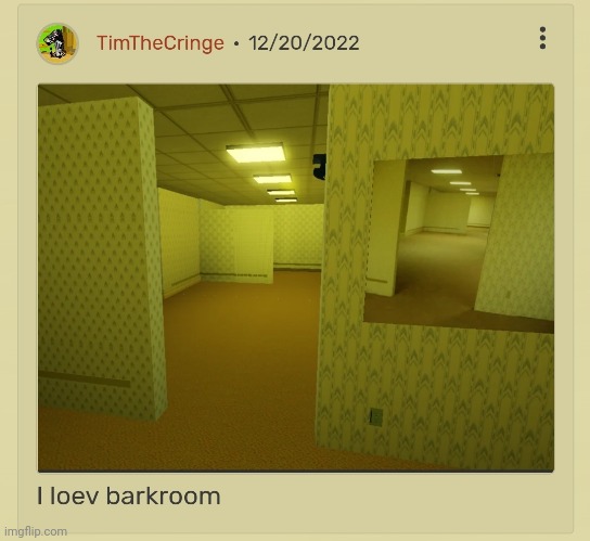 I loev barkroom! | image tagged in the backrooms,backrooms,funny,typing,typo | made w/ Imgflip meme maker