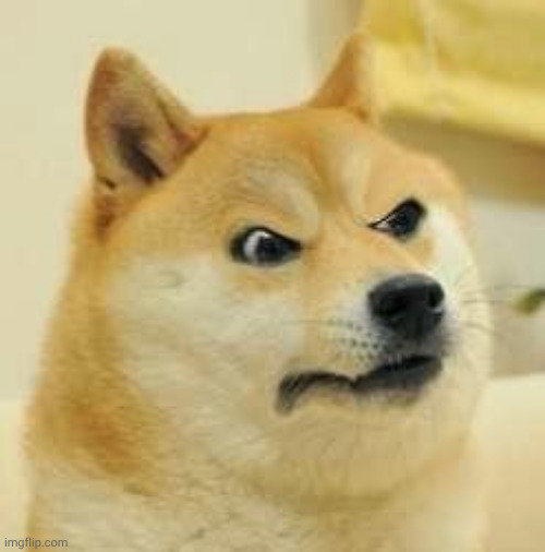 Day 2 Of Waiting For @Horus-Lupercal To Follow Me Back | image tagged in angry doge | made w/ Imgflip meme maker