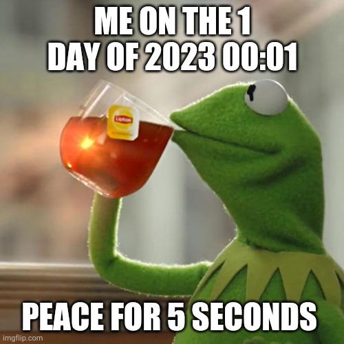 But That's None Of My Business Meme | ME ON THE 1 DAY OF 2023 00:01; PEACE FOR 5 SECONDS | image tagged in memes,but that's none of my business,kermit the frog | made w/ Imgflip meme maker