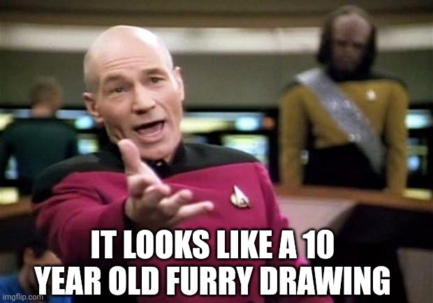 Msmg when: | IT LOOKS LIKE A 10 YEAR OLD FURRY DRAWING | image tagged in startrek | made w/ Imgflip meme maker