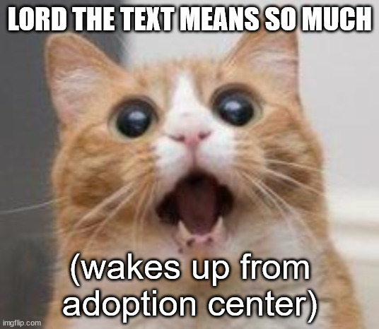 Wow | LORD THE TEXT MEANS SO MUCH (wakes up from adoption center) | image tagged in wow | made w/ Imgflip meme maker