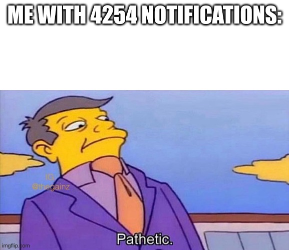 Pathetic | ME WITH 4254 NOTIFICATIONS: | image tagged in pathetic | made w/ Imgflip meme maker