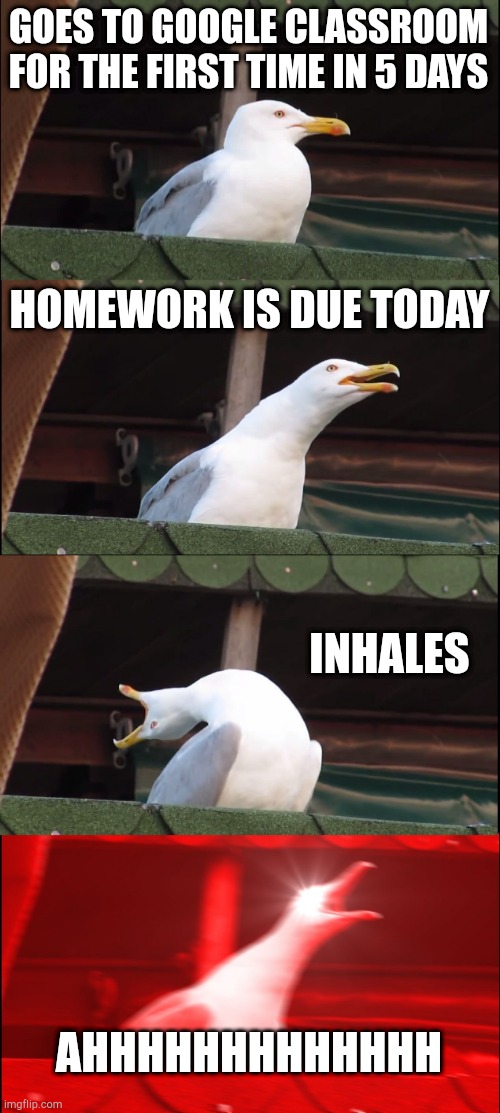Happened to me | GOES TO GOOGLE CLASSROOM FOR THE FIRST TIME IN 5 DAYS; HOMEWORK IS DUE TODAY; INHALES; AHHHHHHHHHHHHH | image tagged in memes,inhaling seagull | made w/ Imgflip meme maker
