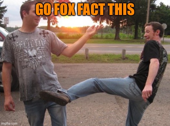 :insert_emoji_that_almost_everyone_wants_to_sexualize: | GO FOX FACT THIS | image tagged in nut shot,balls,deez nuts | made w/ Imgflip meme maker