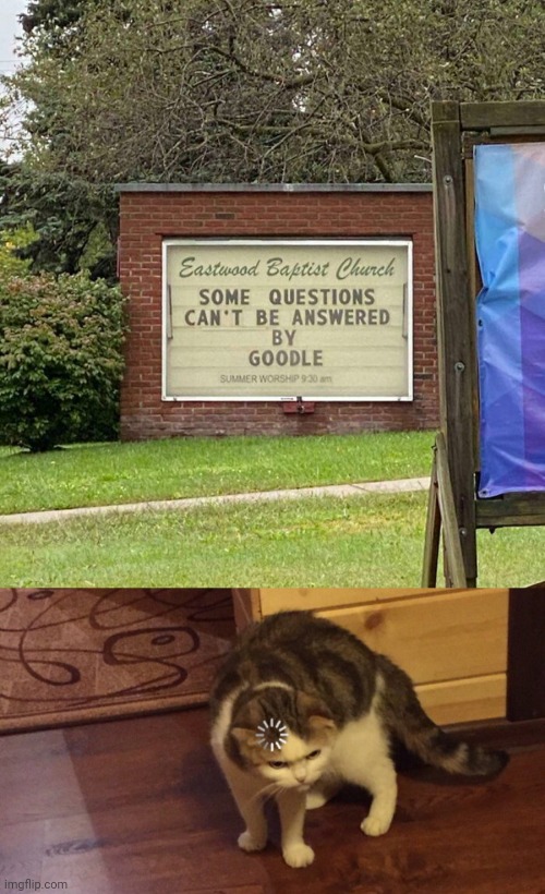 *Google | image tagged in buffering cat,google,spelling error,memes,meme,autocorrect | made w/ Imgflip meme maker