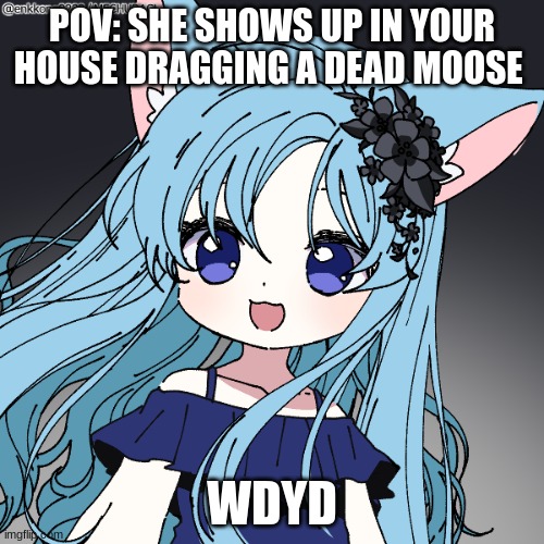 POV: SHE SHOWS UP IN YOUR HOUSE DRAGGING A DEAD MOOSE; WDYD | made w/ Imgflip meme maker