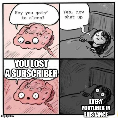 If i had a channel, I would be worried if I lost over 50 otherwise, IDC | YOU LOST A SUBSCRIBER; EVERY YOUTUBER IN EXISTANCE | image tagged in hey you going to sleep | made w/ Imgflip meme maker