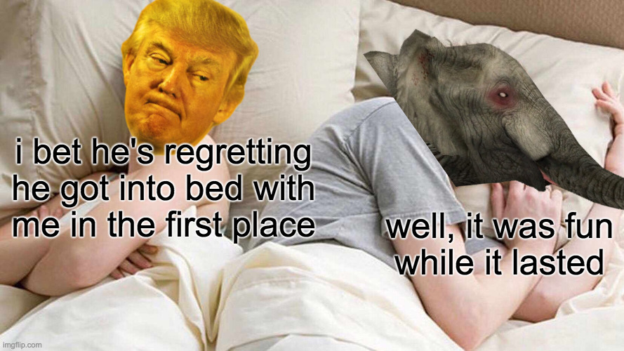 TDS is just STD spelt wrongly. | i bet he's regretting
he got into bed with
me in the first place; well, it was fun
while it lasted | image tagged in memes,i bet he's thinking about other women,morning after,tds | made w/ Imgflip meme maker