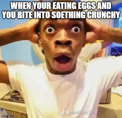 Shocked black guy | WHEN YOUR EATING EGGS AND YOU BITE INTO SOETHING CRUNCHY | image tagged in shocked black guy | made w/ Imgflip meme maker