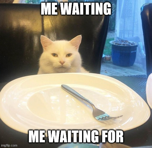 SMUDGE NO FOOD | ME WAITING; ME WAITING FOR | image tagged in smudge no food | made w/ Imgflip meme maker